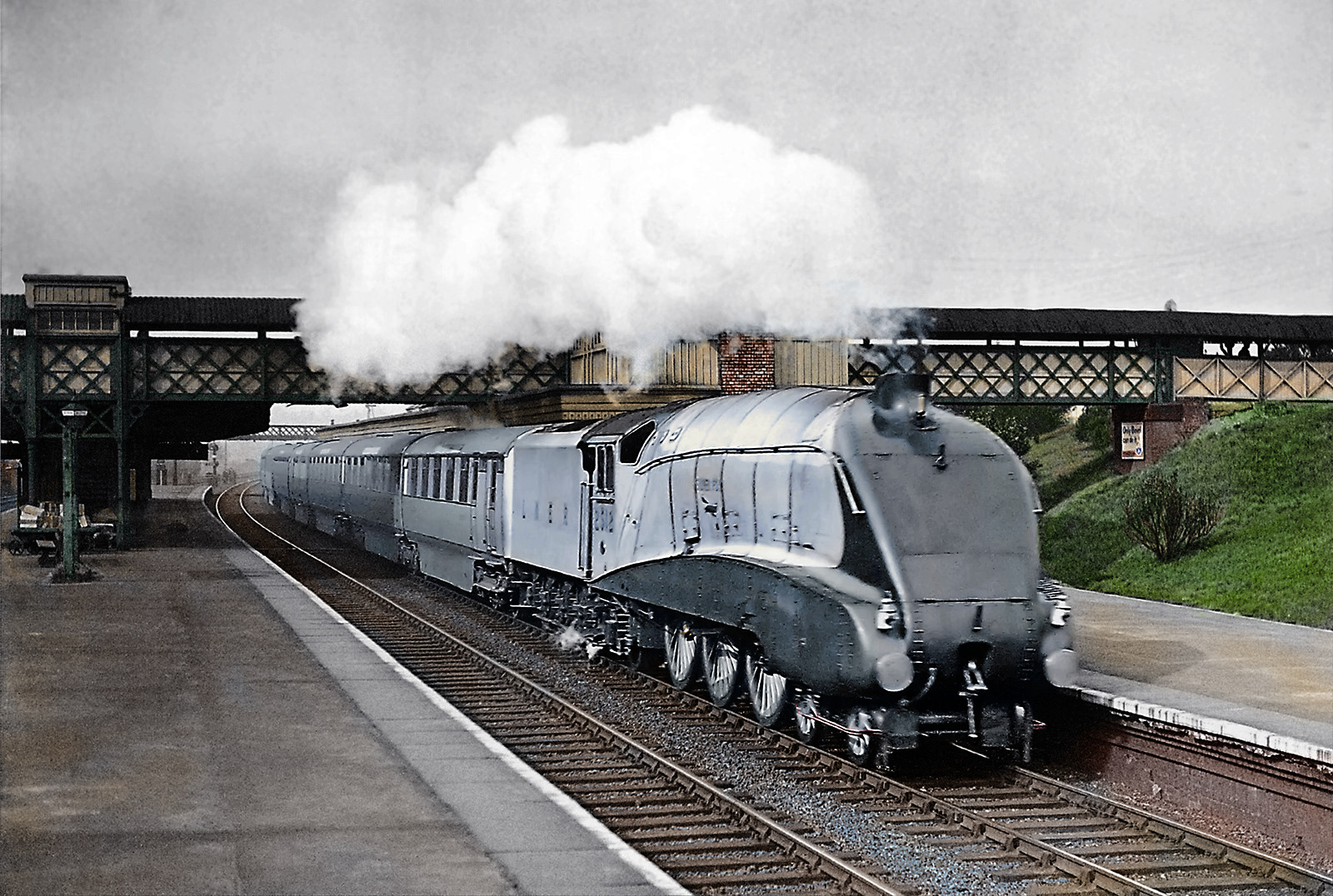 Image of the month: No. 2512 Silver Fox